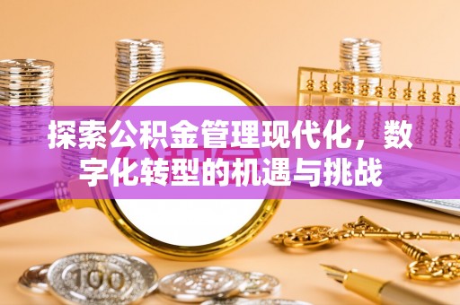 琼中探索公积金管理现代化，数字化转型的机遇与挑战