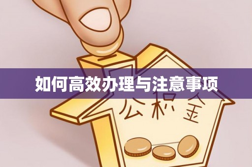 琼中如何高效办理与注意事项