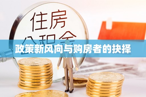 琼中政策新风向与购房者的抉择
