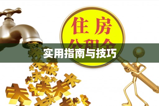 琼中实用指南与技巧