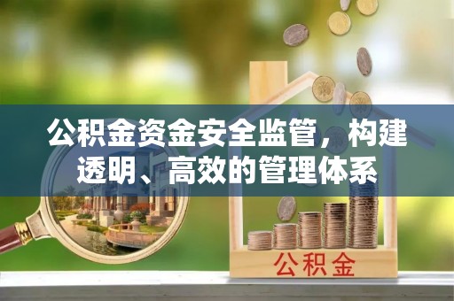 琼中公积金资金安全监管，构建透明、高效的管理体系