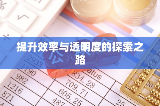 琼中提升效率与透明度的探索之路