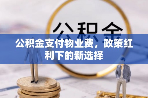 琼中公积金支付物业费，政策红利下的新选择