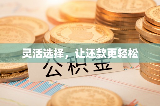琼中灵活选择，让还款更轻松