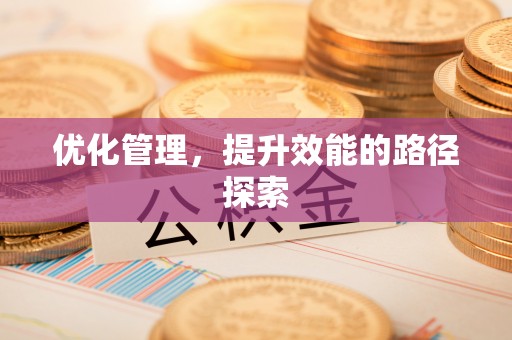 琼中优化管理，提升效能的路径探索