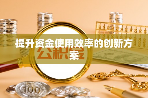 琼中提升资金使用效率的创新方案