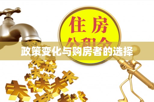 琼中政策变化与购房者的选择