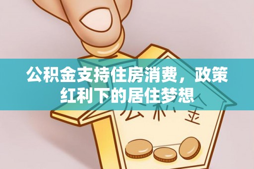 琼中公积金支持住房消费，政策红利下的居住梦想