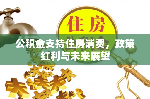 琼中公积金支持住房消费，政策红利与未来展望