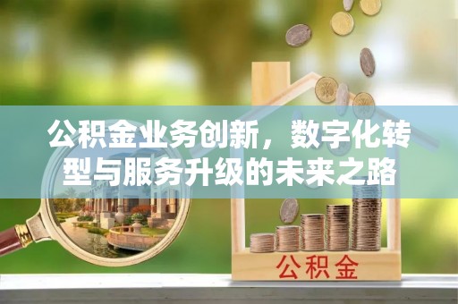 琼中公积金业务创新，数字化转型与服务升级的未来之路