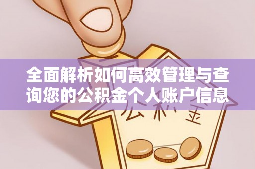 琼中全面解析如何高效管理与查询您的公积金个人账户信息