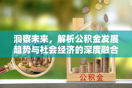 琼中洞察未来，解析公积金发展趋势与社会经济的深度融合