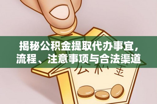 琼中揭秘公积金提取代办事宜，流程、注意事项与合法渠道