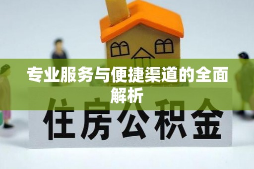 琼中专业服务与便捷渠道的全面解析