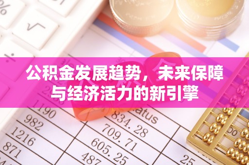 琼中公积金发展趋势，未来保障与经济活力的新引擎