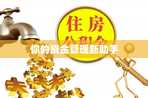 琼中你的资金管理新助手