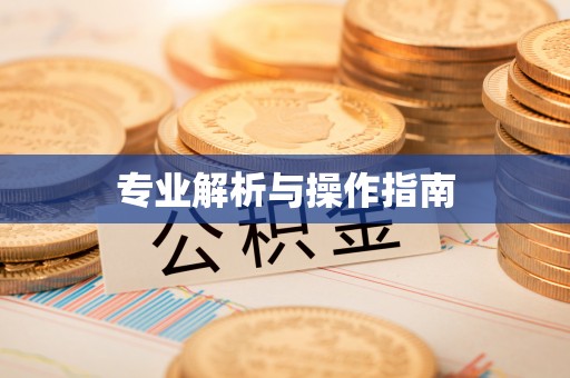 琼中专业解析与操作指南