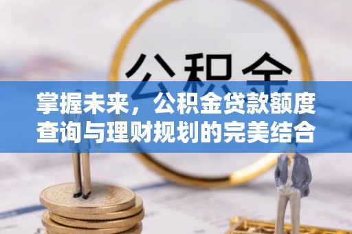 琼中掌握未来，公积金贷款额度查询与理财规划的完美结合