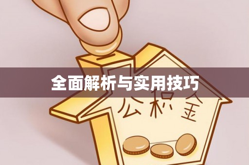 琼中全面解析与实用技巧