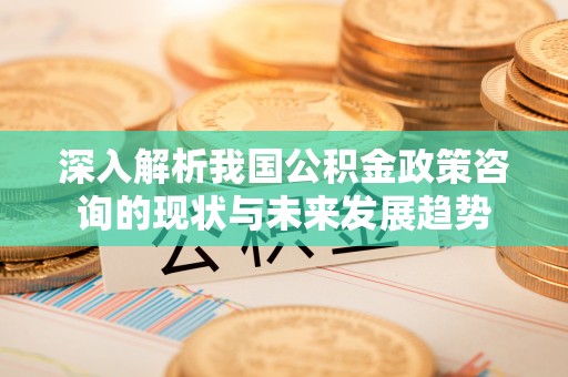 琼中深入解析我国公积金政策咨询的现状与未来发展趋势