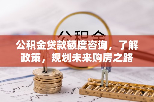 琼中公积金贷款额度咨询，了解政策，规划未来购房之路