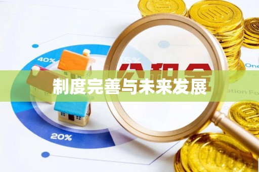 琼中制度完善与未来发展