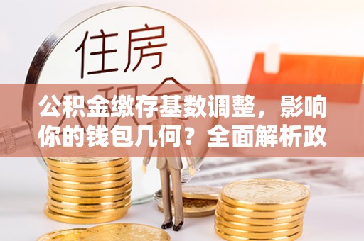 琼中公积金缴存基数调整，影响你的钱包几何？全面解析政策与实际收益