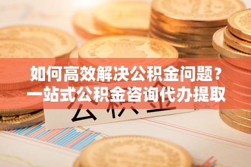 琼中如何高效解决公积金问题？一站式公积金咨询代办提取服务全解析