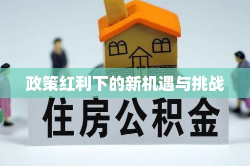 琼中政策红利下的新机遇与挑战