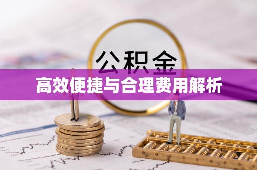 琼中高效便捷与合理费用解析