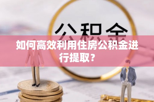 琼中如何高效利用住房公积金进行提取？