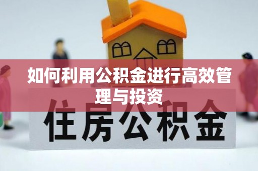 琼中如何利用公积金进行高效管理与投资