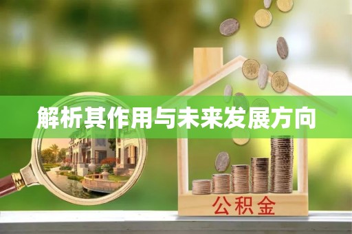 琼中解析其作用与未来发展方向