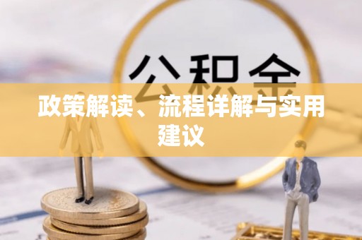 琼中政策解读、流程详解与实用建议