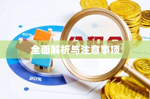 琼中全面解析与注意事项